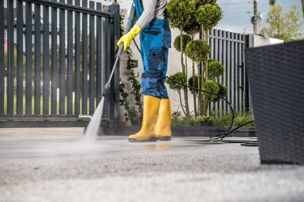 Best Concrete Pressure Washing  in Novi, MI