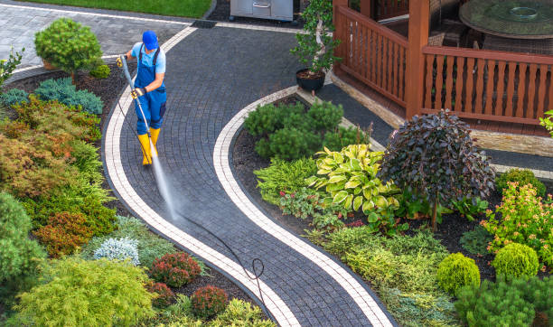 Local Pressure Washing Services in Novi, MI